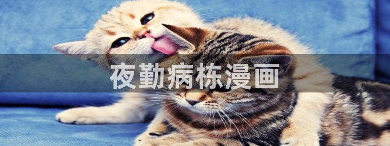喵趣取漫画下载app