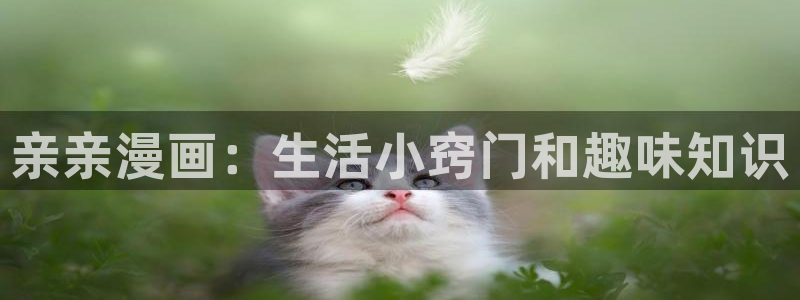 喵趣漫画最新版官网