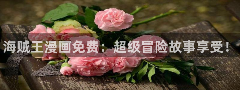 喵趣猫粮好不好