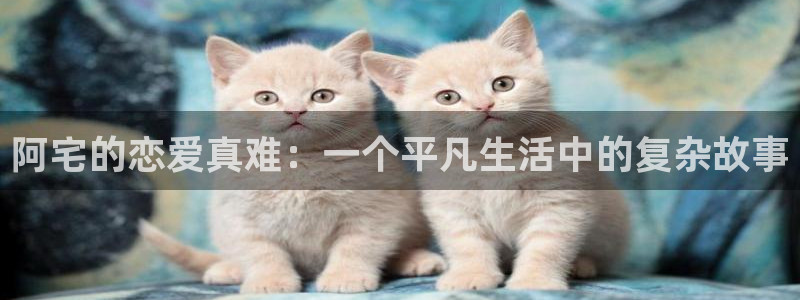 喵趣漫画 官网