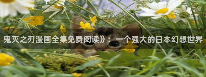 喵趣漫下载：鬼灭之刃漫画全集免费阅读》：一个强大的日本幻想世界