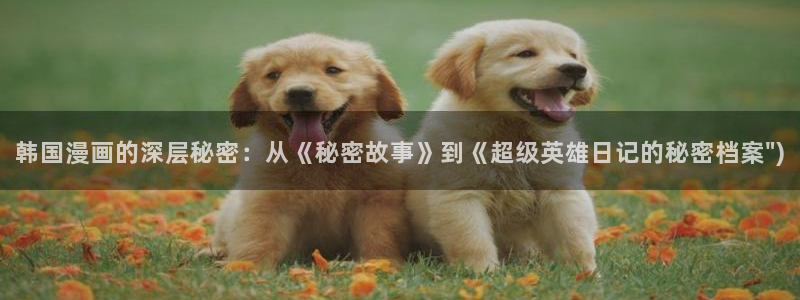 喵趣漫画新版本