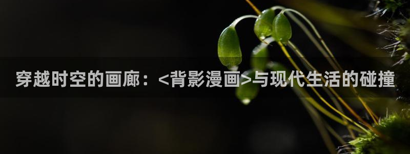 喵趣漫画入口正版