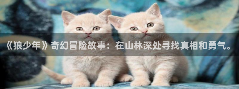 ww.喵趣top