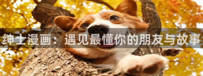 www.喵趣.top
