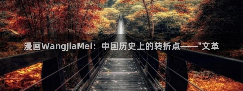 喵趣吧