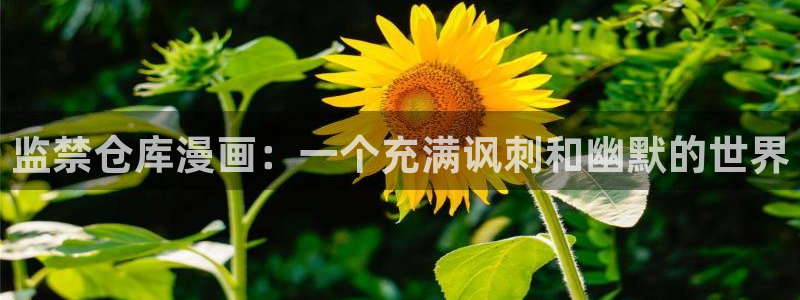 喵趣漫画(2026复活版)