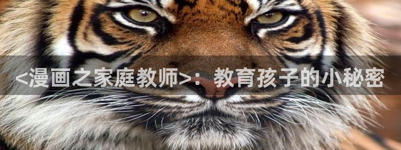 喵趣漫画软件下载