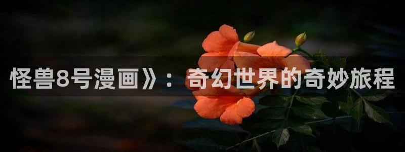 喵趣玩官网