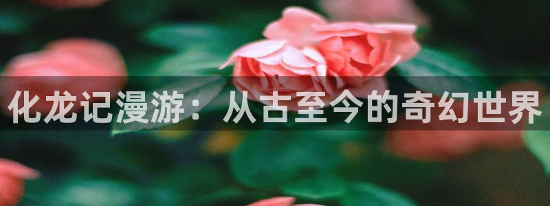 喵趣动漫官方正版下载：化龙记漫游：从古至今的奇幻世界