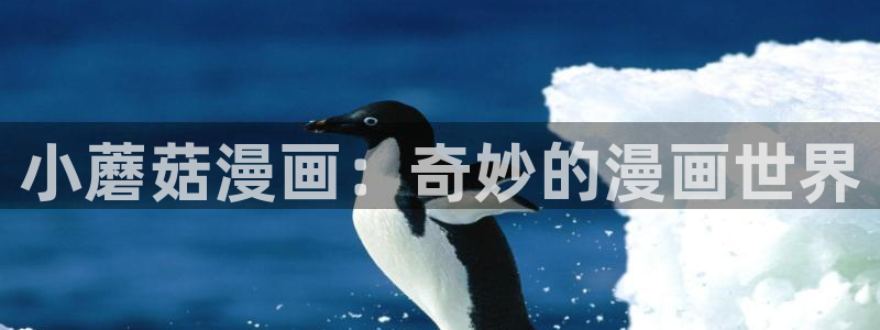 喵趣漫画网站入口：小蘑菇漫画：奇妙的漫画世界