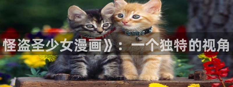 喵趣漫画无广告：怪盗圣少女漫画》：一个独特的视角