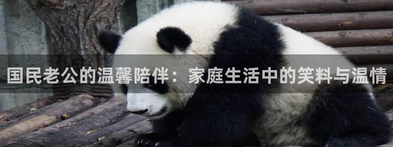 喵趣漫画下载安装最新版：国民老公的温馨陪伴：家庭生活中的笑料与温情